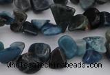 CCH628 15.5 inches 6*8mm - 10*14mm apatite gemstone chips beads