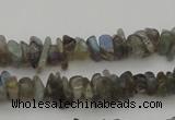 CCH645 15.5 inches 4*6mm - 5*8mm labradorite chips beads