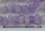 CCH648 15.5 inches 8*12mm - 10*14mm lavender amethyst chips beads