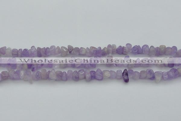 CCH648 15.5 inches 8*12mm - 10*14mm lavender amethyst chips beads