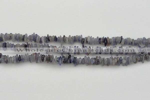 CCH658 15.5 inches 4*6mm - 5*8mm iolite gemstone chips beads