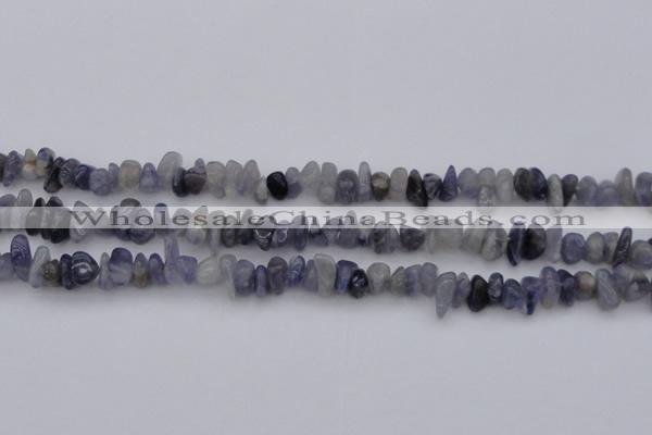 CCH659 15.5 inches 5*8mm - 6*10mm iolite gemstone chips beads