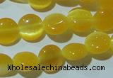 CCT455 15 inches 6mm flat round cats eye beads wholesale