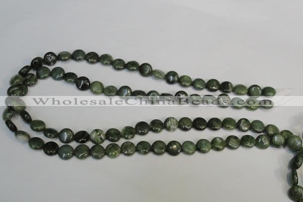 CDJ26 15.5 inches 10mm flat round Canadian jade beads wholesale