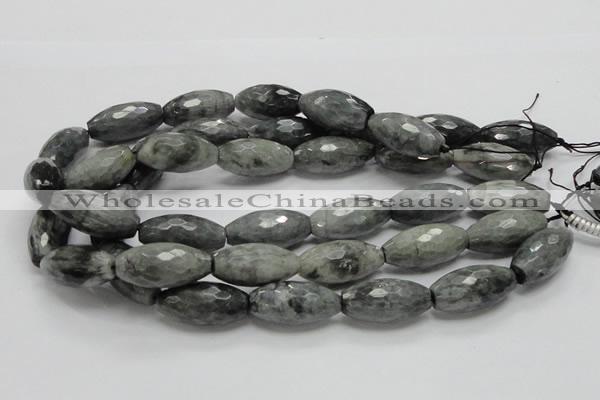 CEE32 15.5 inches 15*30mm faceted rice eagle eye jasper beads