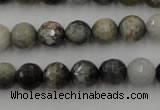 CEE353 15.5 inches 10mm faceted round eagle eye jasper beads