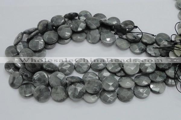 CEE38 15.5 inches 20mm faceted coin eagle eye jasper beads wholesale