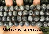 CEE521 15.5 inches 10mm round eagle eye jasper beads wholesale