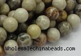 CFA03 15.5 inches 10mm round chrysanthemum agate gemstone beads