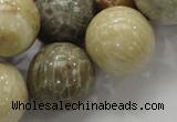 CFA05 15.5 inches 20mm round chrysanthemum agate gemstone beads