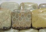 CFA18 15.5 inches 25*25mm square chrysanthemum agate beads