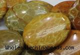 CFA50 15.5 inches 30*40mm oval yellow chrysanthemum agate beads