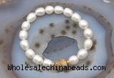 CFB924 9mm - 10mm rice white freshwater pearl & yellow crazy lace agate stretchy bracelet