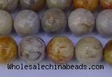 CFC203 15.5 inches 10mm round fossil coral beads wholesale