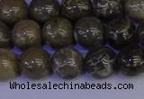 CFC213 15.5 inches 10mm round grey fossil coral beads wholesale