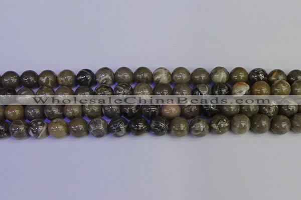 CFC214 15.5 inches 12mm round grey fossil coral beads wholesale