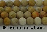 CFC221 15.5 inches 6mm round matte fossil coral beads wholesale