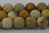 CFC222 15.5 inches 8mm round matte fossil coral beads wholesale