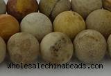 CFC224 15.5 inches 12mm round matte fossil coral beads wholesale