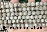 CFC330 15.5 inches 8mm round fossil coral beads wholesale