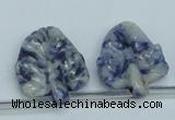 CFG15 15.5 inches 20*26mm carved leaf sodalite gemstone beads