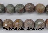 CGG15 15.5 inches 12mm faceted round ghost gemstone beads wholesale