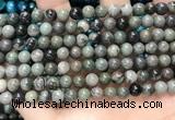 CGJ511 15.5 inches 6mm round green forst jasper beads wholesale