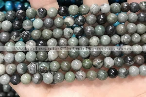 CGJ511 15.5 inches 6mm round green forst jasper beads wholesale