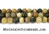 CHJ105 15 inches 14mm round honeybee jasper beads