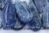 CKC821 15 inches 10*20mm - 16*30mm flat teardrop blue kyanite beads