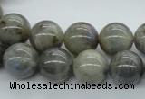 CLB102 15.5 inches 14mm round labradorite gemstone beads wholesale