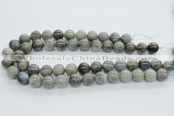 CLB103 15.5 inches 16mm round labradorite gemstone beads wholesale