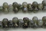 CLB630 15.5 inches 4*9mm bone AB-color labradorite beads