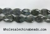 CLB799 25*30mm - 25*35mm faceted octagonal labradorite beads