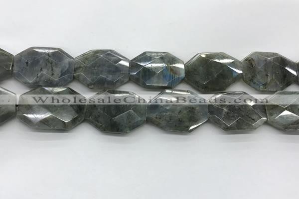 CLB799 25*30mm - 25*35mm faceted octagonal labradorite beads