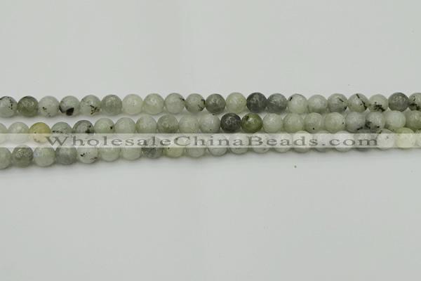 CLB860 15.5 inches 4mm faceted round AB grade labradorite beads