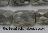 CLB96 15.5 inches 18*25mm faceted rectangle labradorite beads