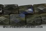 CLB962 15.5 inches 13*18mm faceted rectangle labradorite beads