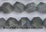 CLB983 15.5 inches 10mm faceted nuggets labradorite beads wholesale