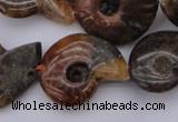 CMM01 15.5 inches 13*18mm - 30*35mm carved ammonite gemstone beads