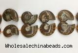 CMM10 15.5 inches 30*40mm - 35*45mm carved ammonite gemstone beads