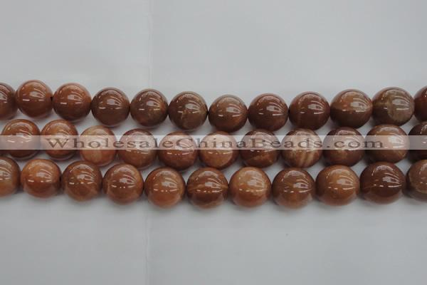 CMS1006 15.5 inches 16mm round AA grade moonstone gemstone beads