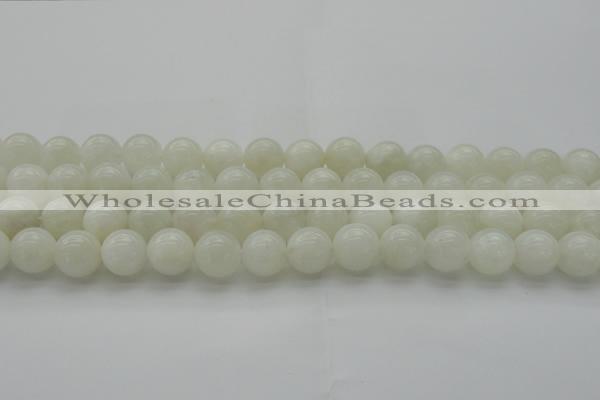 CMS1031 15.5 inches 6mm round A grade white moonstone beads