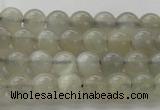 CMS1057 15.5 inches 6mm round grey moonstone beads wholesale