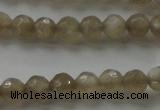 CMS1067 15.5 inches 6mm faceted round grey moonstone beads wholesale