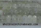 CMS1178 15.5 inches 4*6mm faceted rondelle grey moonstone beads