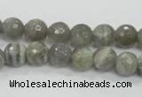 CMS124 15.5 inches 10mm faceted round moonstone gemstone beads