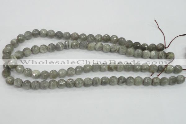 CMS124 15.5 inches 10mm faceted round moonstone gemstone beads