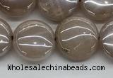 CMS1348 15.5 inches 12mm flat round AB-color moonstone beads