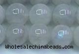 CMS1491 15.5 inches 8mm round white moonstone beads wholesale